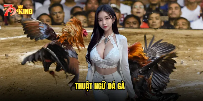 thuật ngữ đá gà
