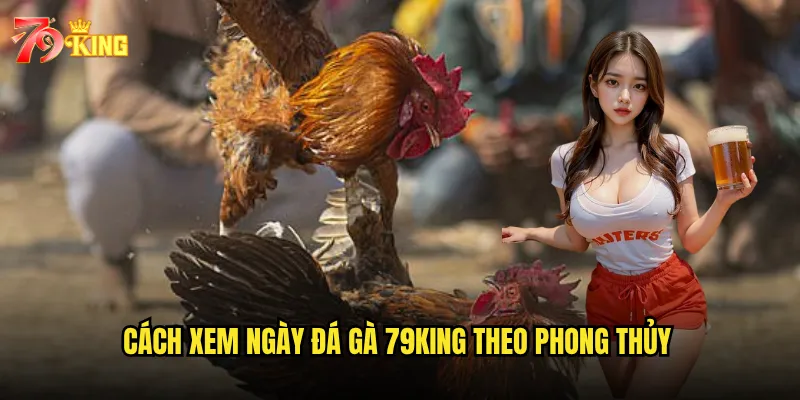 Cách xem ngày đá gà 79king theo phong thủy