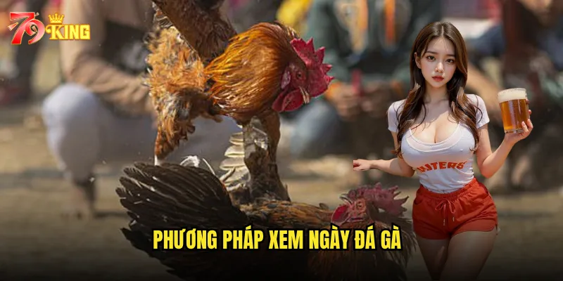 Phương pháp xem ngày đá gà