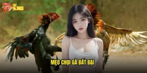 Mẹo chọi gà bất bại