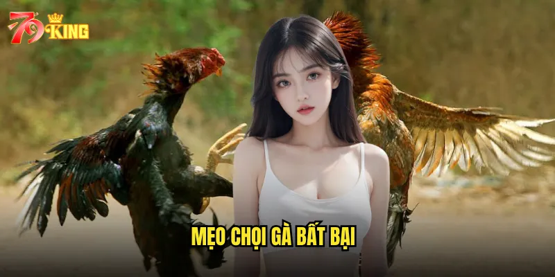 Mẹo chọi gà bất bại