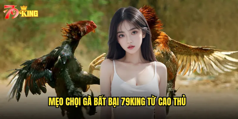 Mẹo chọi gà bất bại 79king từ cao thủ