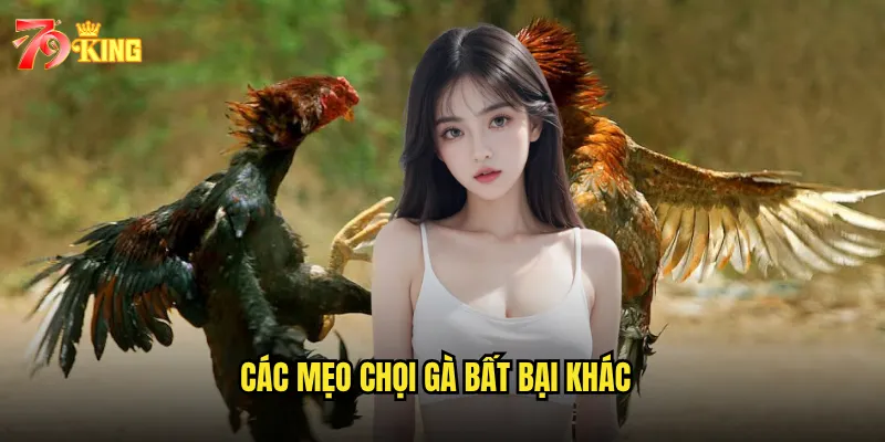 Các mẹo chọi gà bất bại khác