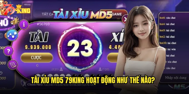 Tài xỉu MD5 79king hoạt động như thế nào?