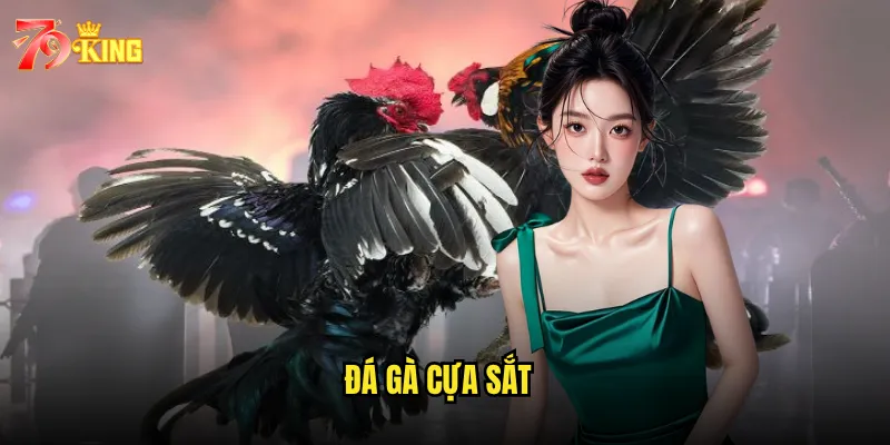 Đá gà cựa sắt