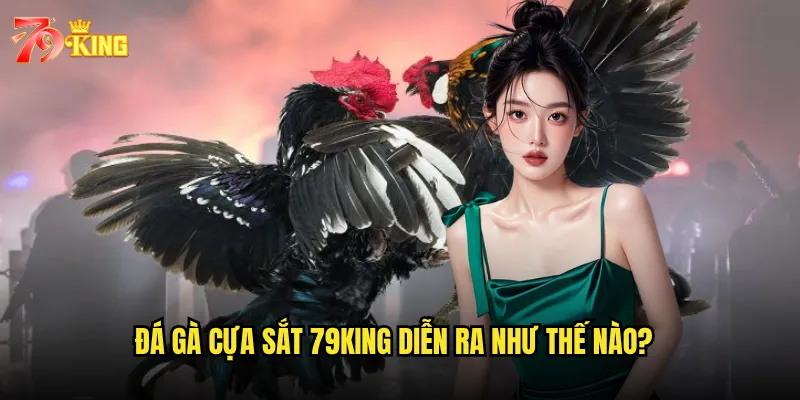 Đá gà cựa sắt 79king diễn ra như thế nào?