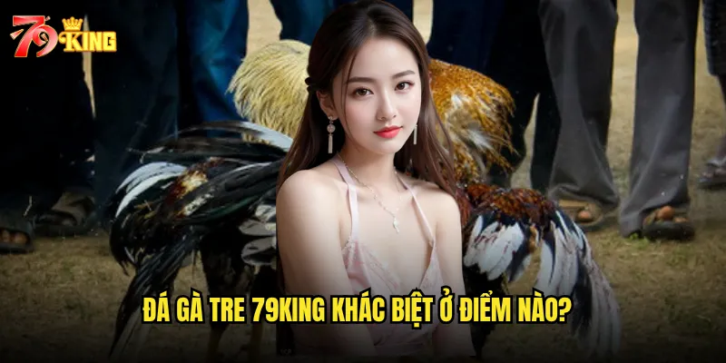 Đá gà tre 79king khác biệt ở điểm nào?